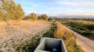 Finca Gandesa 100 olivos con riego