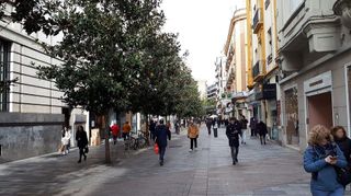 Local comercial en alquiler en Zona Centro en Córdoba