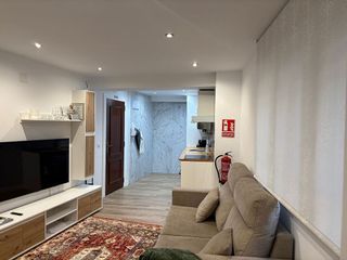 Piso en alquiler en Zona Teatro Campoamor en Oviedo