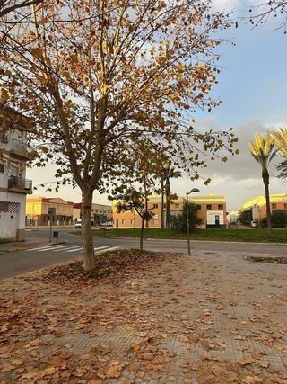 Local comercial en venta en Palacios y Villafranca (Los)