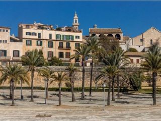 Piso en alquiler en La Seu - Cort - Monti-sión en Palma de Mallorca