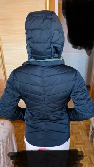 Cazadora Lion of Porche azul/verde Talla XS