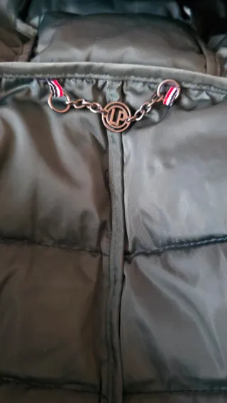 Cazadora Lion of Porche azul/verde Talla XS