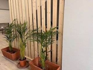 Estudio en alquiler en Casco Urbano en Villaviciosa de Odón