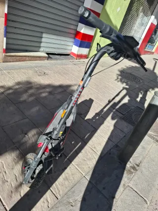 Patinete eléctrico adulto Segway ZT3 Pro E