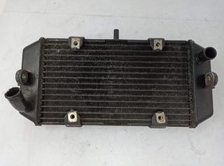 Radiador De Agua Yamaha Majesty 400 2003-2008