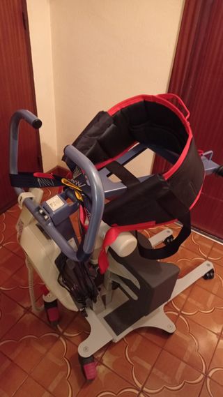 Grúa de bipedestación Way Up AD906