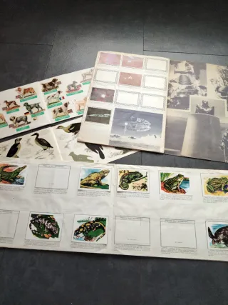 Álbumes Cromos Antiguos Panini. Se escucha ofertas