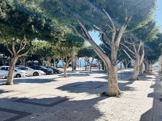 Local comercial en alquiler en El Bajondillo en Torremolinos