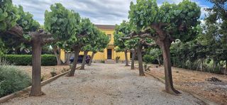 Chalet en alquiler en Zona Poble en Benicarló