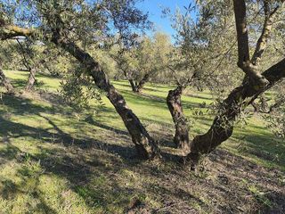 Terreno en venta en Alfacar
