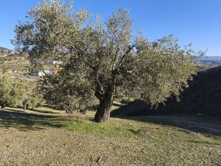 Terreno en venta en Alfacar