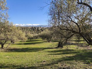 Terreno en venta en Alfacar