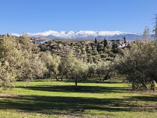 Terreno en venta en Alfacar