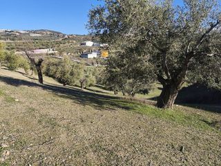 Terreno en venta en Alfacar