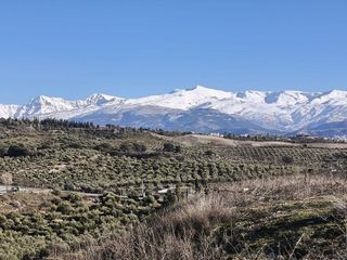 Terreno en venta en Alfacar