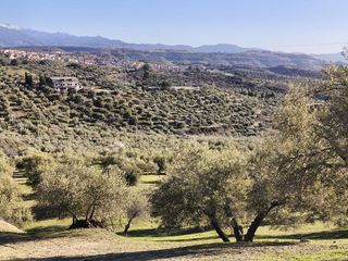 Terreno en venta en Alfacar
