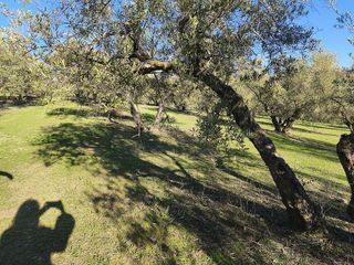 Terreno en venta en Alfacar
