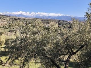 Terreno en venta en Alfacar