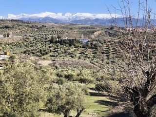 Terreno en venta en Alfacar