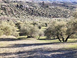 Terreno en venta en Alfacar