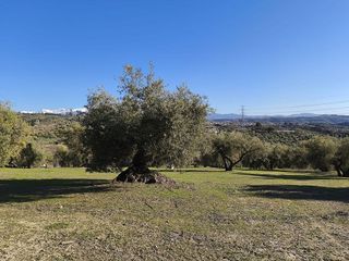 Terreno en venta en Alfacar