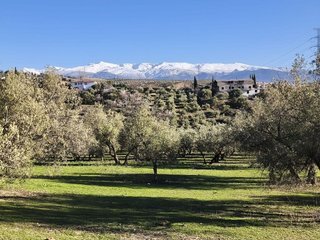 Terreno en venta en Alfacar