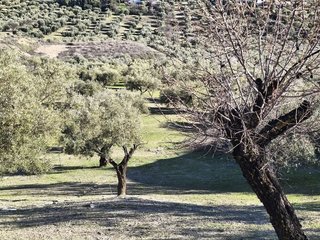 Terreno en venta en Alfacar