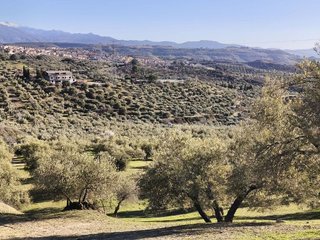 Terreno en venta en Alfacar