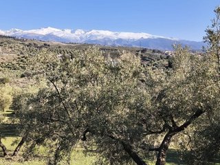Terreno en venta en Alfacar