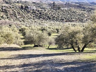 Terreno en venta en Alfacar