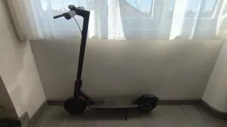 Patinete Xiaomi 365, neumáticos de 10"