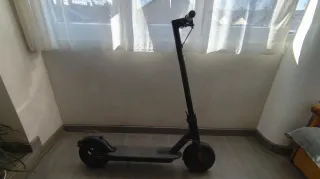 Patinete Xiaomi 365, neumáticos de 10"