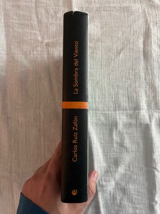 La sombra del viento