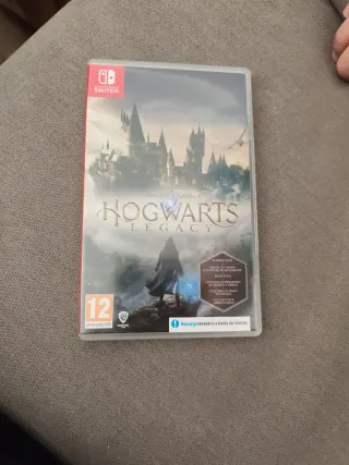 Hogwarts Legacy Nintendo Switch