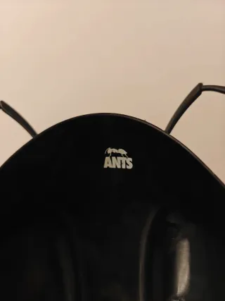 Careta negra de hormiga(ants)