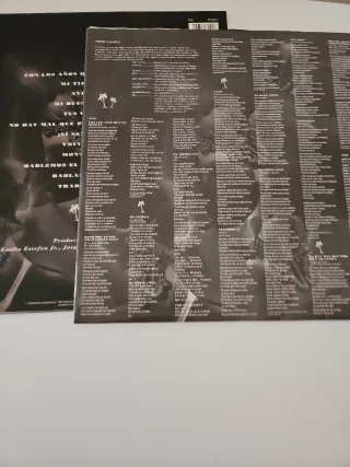 Gloria Estefan Mi Tierra Vinilo Latino