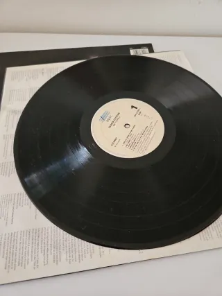 Gloria Estefan Mi Tierra Vinilo Latino