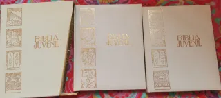 Biblia juvenil para niños