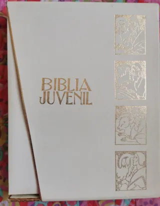 Biblia juvenil para niños