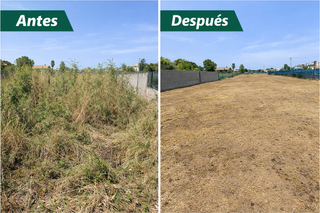 Me dedico al desbroce y limpieza de parcelas.