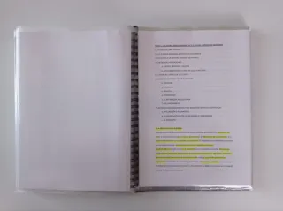 Temas y resumenes Historia Medieval I