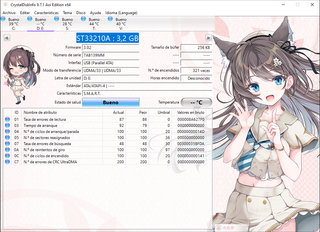 2 Discos Duros IDE Seagate Vintage 3.2GB