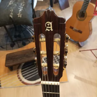 Alhambra 5P Cutaway con Fishman Prefix Pro