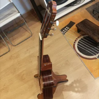 Alhambra 5P Cutaway con Fishman Prefix Pro