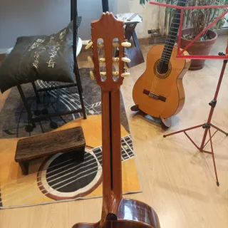 Alhambra 5P Cutaway con Fishman Prefix Pro