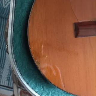 Alhambra 5P Cutaway con Fishman Prefix Pro