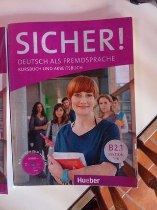 SICHER B2.2 Kursb.u.Arb.+CD (al./ej.+CD) (Germa...