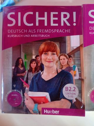 SICHER B2.2 Kursb.u.Arb.+CD (al./ej.+CD) (Germa...
