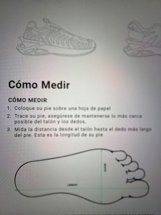 Zapatillas Philipp Plein Sport Negras y Doradas